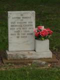 image of grave number 292040